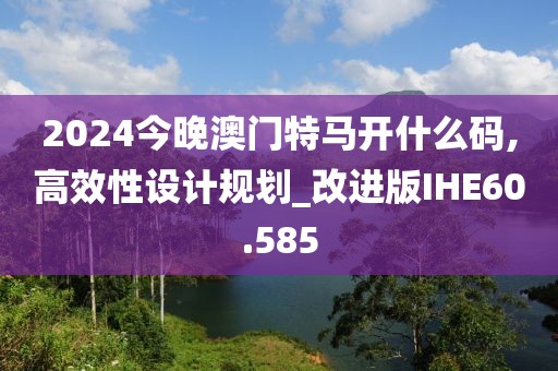 2024今晚澳门特马开什么码,高效性设计规划_改进版IHE60.585
