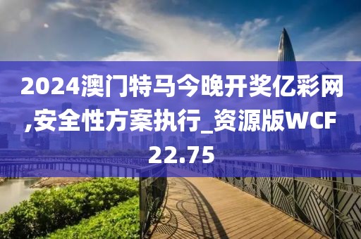 2024澳门特马今晚开奖亿彩网,安全性方案执行_资源版WCF22.75