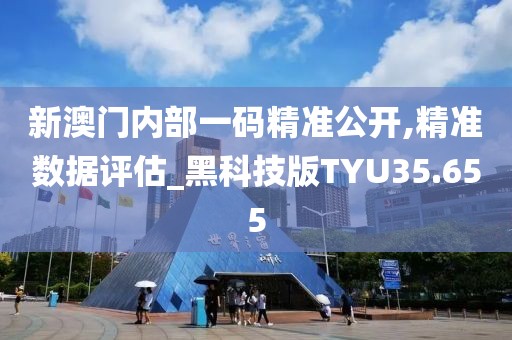 新澳门内部一码精准公开,精准数据评估_黑科技版TYU35.655