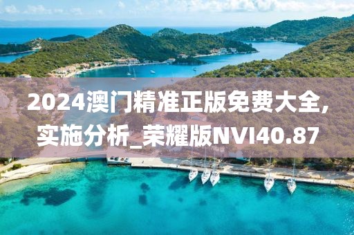 2024澳门精准正版免费大全,实施分析_荣耀版NVI40.87